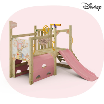 Disney's Winnie Puuh First Experience Kleinkind-Klettergerüst von Wickey  835285